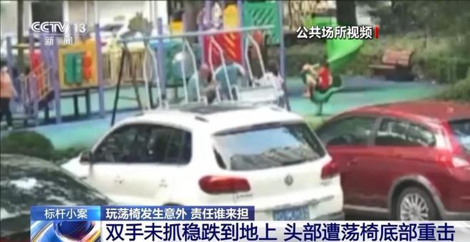 兒童玩蕩椅意外身亡 責(zé)任誰來擔(dān)？(圖3)