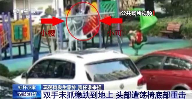 兒童玩蕩椅意外身亡 責(zé)任誰來擔(dān)？(圖2)