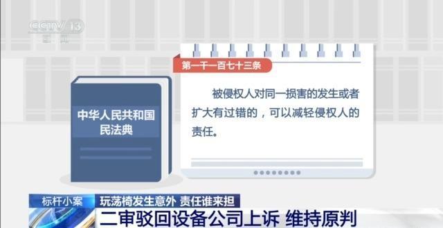 兒童玩蕩椅意外身亡 責(zé)任誰來擔(dān)？(圖12)