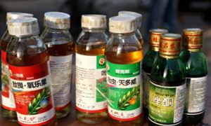 2024游樂設備產(chǎn)業(yè)發(fā)展前景及趨勢(圖2)