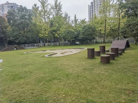 濱州市第二批赴上?！绑w悟?qū)嵱?xùn)”隊(duì)開(kāi)啟學(xué)習(xí)實(shí)踐之旅——在黃浦江畔汲取智慧 助力濱州口袋公園建設(shè)(圖3)