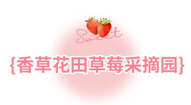 哇塞！蔡甸草莓采摘季開啟超全攻略速看→(圖9)