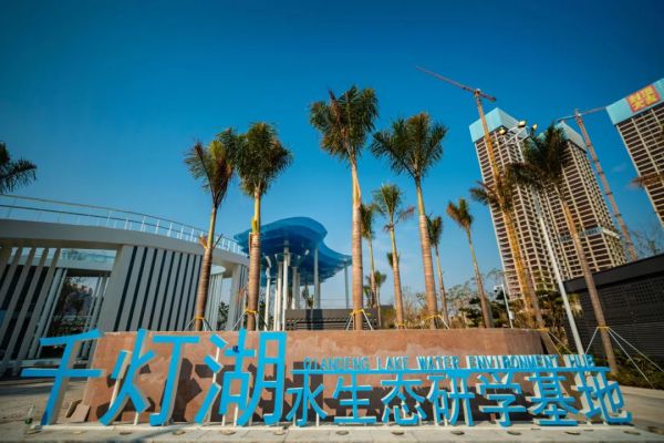 總投資112億！南海3萬㎡桂城全新兒童公園啟用(圖2)