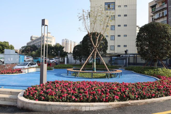 10年254個！看龍泉驛老舊小區(qū)的“蝶變”之路(圖1)