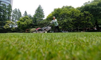 九游app：公園里投資什么能賺錢