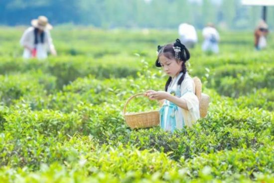 趕快收藏！上海樂高樂園周邊“吃住游”全攻略(圖9)
