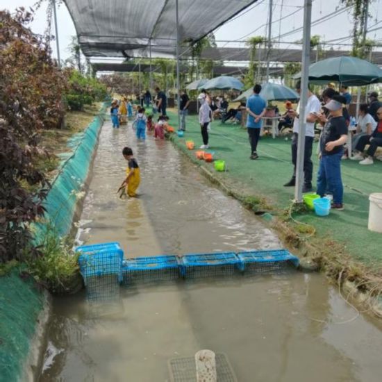 趕快收藏！上海樂高樂園周邊“吃住游”全攻略(圖13)