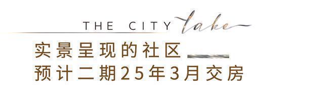 金山云湖壹號(hào)官方售樓處-云湖壹號(hào)2024最新樓盤詳情-周邊配套(圖5)