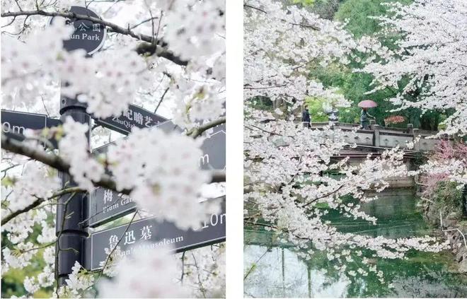 最新聚焦?中建虹悅里官方售樓處發(fā)布：虹口中建虹悅里優(yōu)雅魅力盡顯(圖10)
